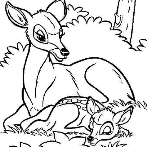 Coloriages Biche Animaux Dessins Colorier Coloriages Imprimer