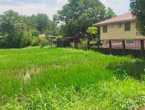 Lot Balagtas Bigaa Bulacan 44 047 Properties September 2024 On