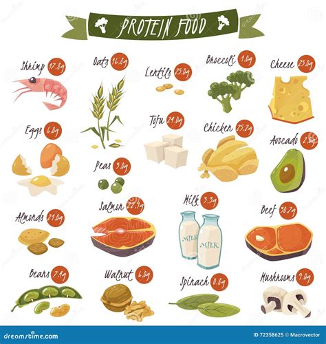 Protein Rich Food Flat Icons Set Stock Vector Illustration Of Protein