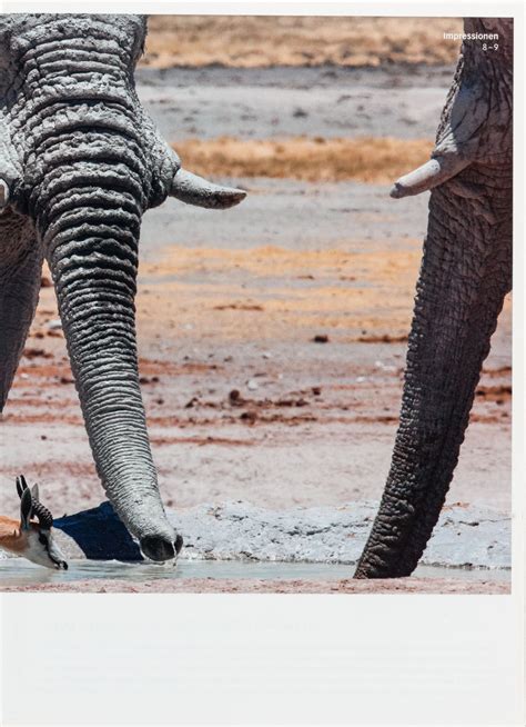 Namibia Dumont Bildatlas Tom Schulze Fotografie