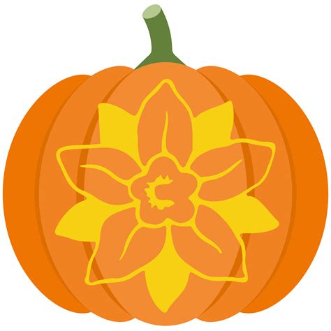 flower pumpkin 7