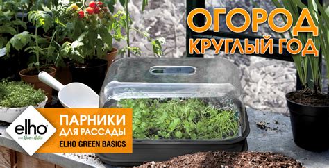 Главная страница | Sad.ru - товары для сада и огорода