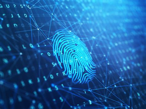 O Que É Biometria Digital - Biometria digital: aplicações no dia a dia - NDD