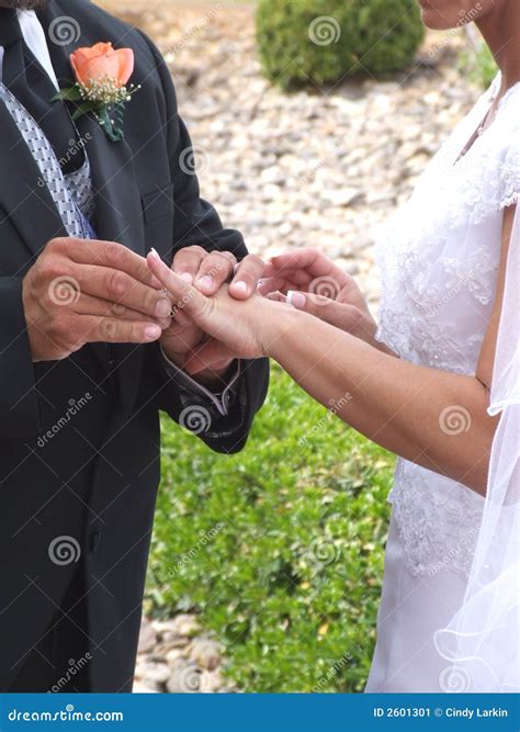 Votos de boda imagen de archivo. Imagen de anillos, matrimonio - 2601301