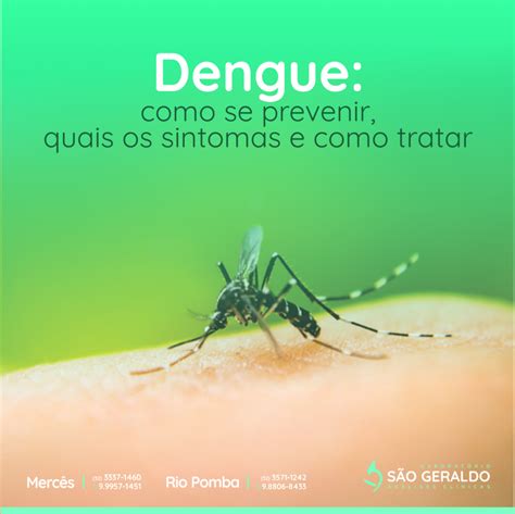 Dengue Como Se Prevenir Quais Os Sintomas E Como Tratar Laboratório