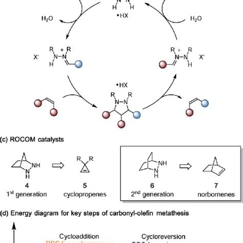 A Generalized Ring Opening Carbonyl Olefin Metathesis B Catalytic