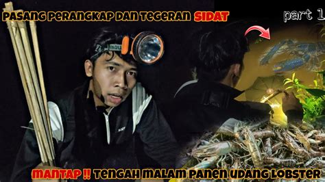 Pasang Perangkap Bubu Dan Tegeran Di Malam Hari Ternyata Ini Hasilnya