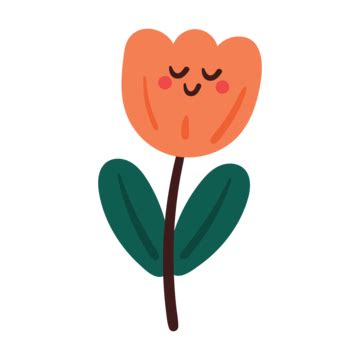 Flor De Tulip N De Dibujos Animados Lindo Dibujado A Mano Vector Png