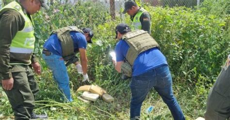 Cochabamba Encuentran Paquetes De Marihuana Camuflados En La Maleza