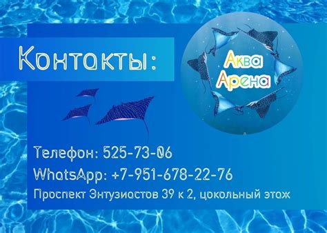 Аква Арена 2024 | ВКонтакте
