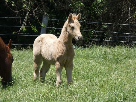 The spook meaning has a very surprising historical origin 34