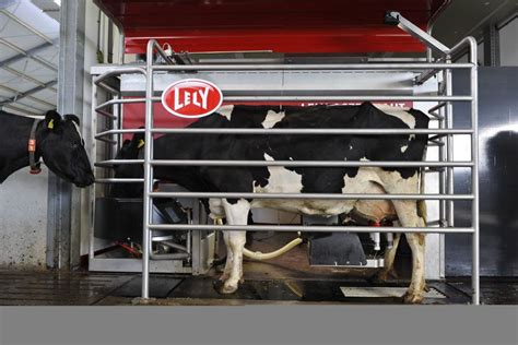 Milkplan The 1st Robotic Milking System Lely Austronaut A4 In Greece