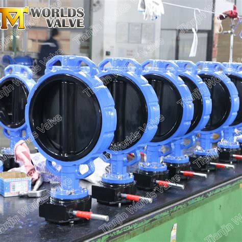 Ansi Wafer Lug Type Full Epdm Rubber Coated Disc Butterfly Valve Pn