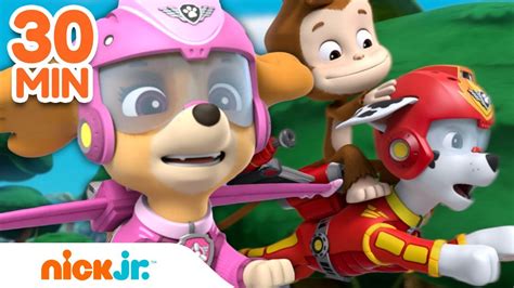 Paw Patrol Skye Flies High W Marshall And Chase 30 Minute Compilation Nick Jr