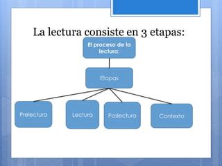 Etapas Del Proceso De La Lectura Ppt