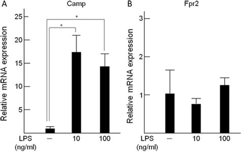 The Effect Of LPS On Camp And Fpr2 MRNA Expression In Rat Dental Pulp