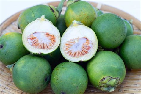 10 Manfaat Buah Pinang Muda Baik Untuk Pencernaan Dan Tulang