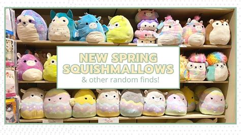 Come Squishmallow Hunting With Me Easter Spring And Random Squish 🍄🌷 Youtube