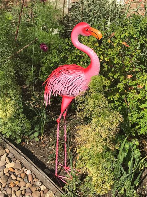 Flamingo Metal Large Swingoramic