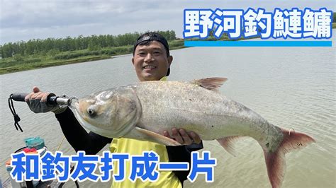 【鄧剛釣魚】野河釣鰱鳙，和在座釣友打成一片！ Youtube