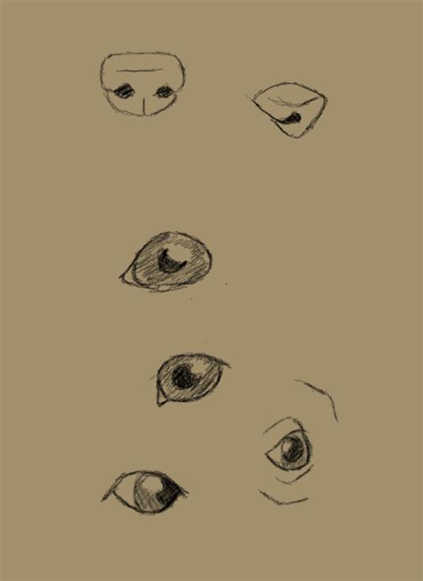 Dog Eyes Drawing Easy Animal Drawings Mythical Hybrid Creatures