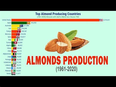 Top Almonds Producing Countries 1961 2020 YouTube