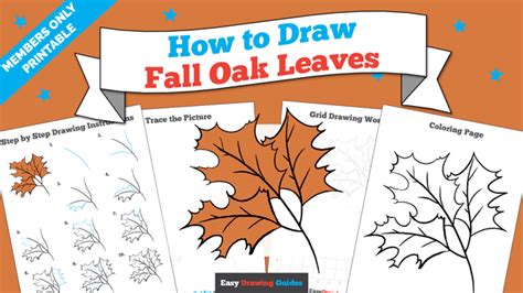 How To Draw Fall Oak Leaves Really Easy Drawing Tutorial