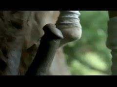 Wigged Blonde Girl And Bear In The Forest Xxx Mobile Porno Videos Movies IPornTV Net