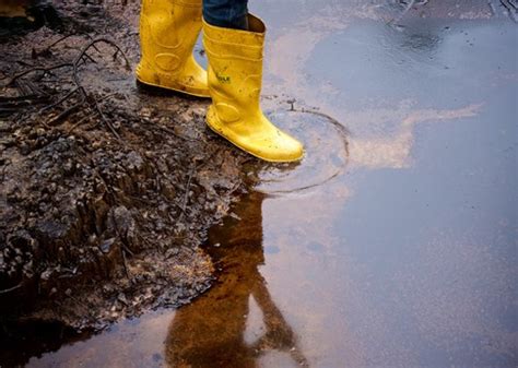 Shell: #makethefuture – clean up the Niger Delta! - Amnesty International