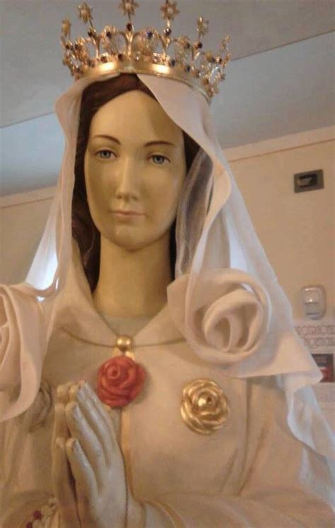 Rosa Mystica Blessed Virgin Mary Blessed Mother Mother Mary