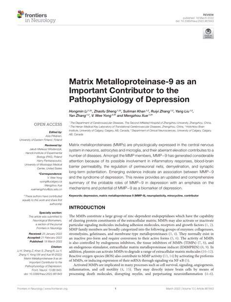 Pdf Matrix Metalloproteinase 9 As An Important Contributor To The Pathophysiology Of Depression