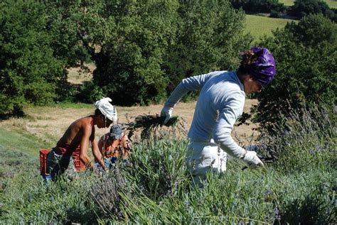 Giornata internazionale delle donne rurali L agricoltura Non è per