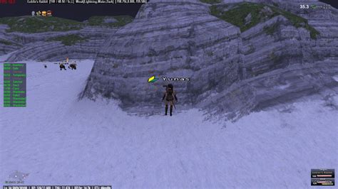 [HC Guide] FFXI Leveling (pets only) Guide | YUNA'S GUIDES