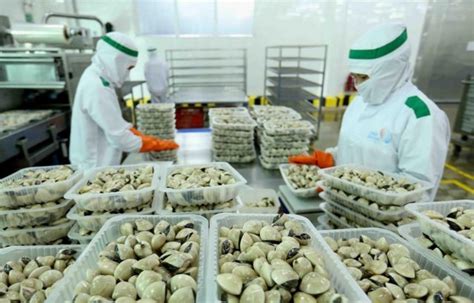 Việt Nam needs solutions promoting sustainable seafood exports to the