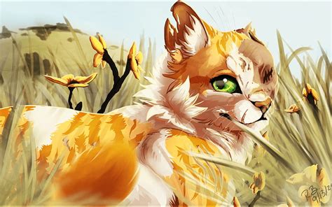 From Warrior Cats Brightheart Warrior Cats Untold Tales Hd Wallpaper