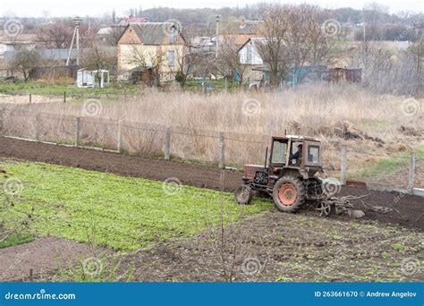 Farm Tractor with Plow Plows the Field and Prepares for Sowing ...