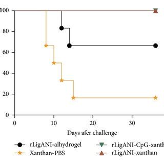 The Protective Effect Of Immunization Against Lethal Challenge In A