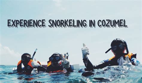 12 Best Snorkeling Spots in Cozumel