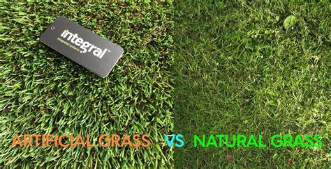 Artificial Grass vs Natural Grass - Iıntegral