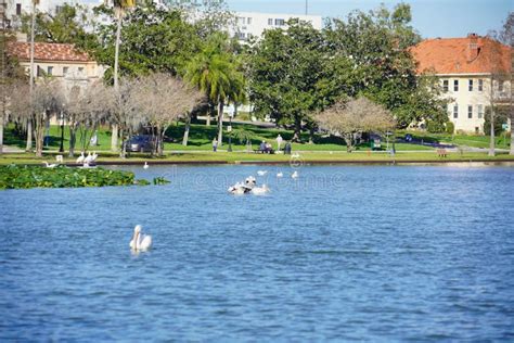 Lake Morton In Florida Stock Photo Image Of Cityscape 211125282