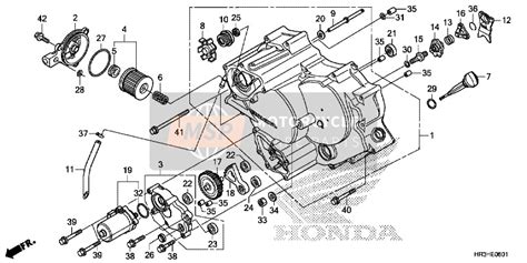 Honda Trx420tm1 2017 Front Crankcase Cover Trx420fe1fm1fm2te1tm1 Msp