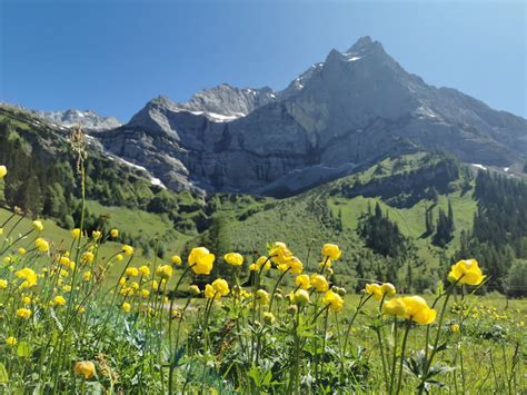 FRÜHLINGSWANDERUNG schönsten Touren im Frühling