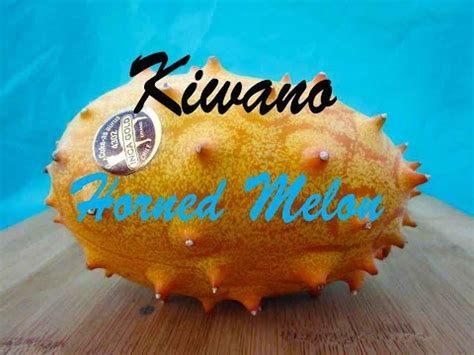 Kiwano Or Horned Melon Unusual Food 38 YouTube