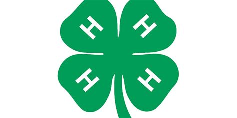 Mower County 4 Hers Participate In Minnesota 4 H State Horse Show