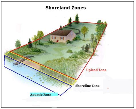 Score Your Shore Mini Assessment Survey