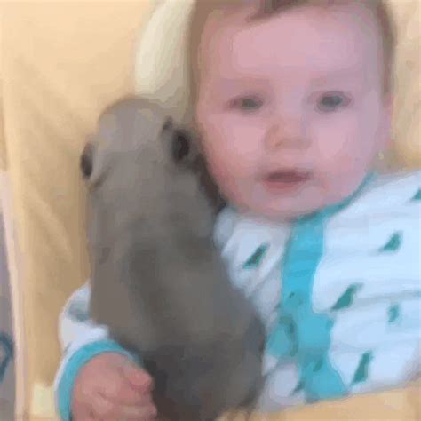 Baby Cuteness GIF - Find & Share on GIPHY