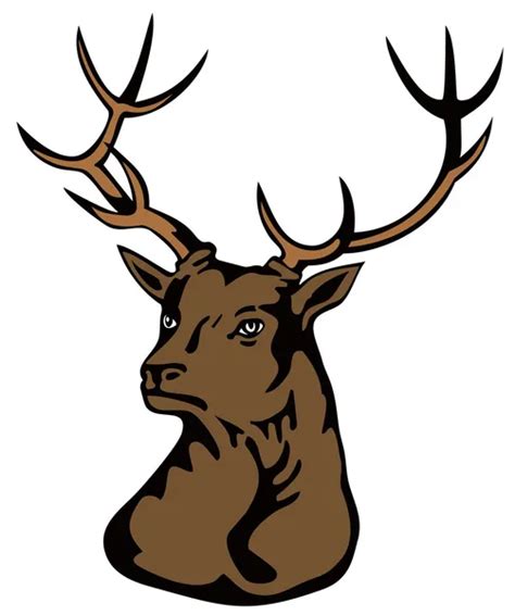 Buck Head Vector Art Stock Images Depositphotos