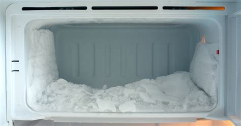 Diy Freeze Dryer Without Dry Ice - A Freeze Dryer You Can Build In Your Garage Hackaday / It can ...