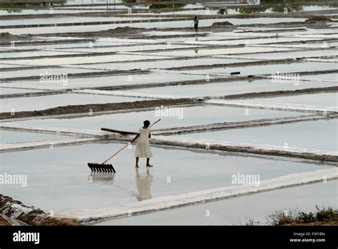 Salt pans thuthukudi tuticorin tamil hi-res stock photography and ...