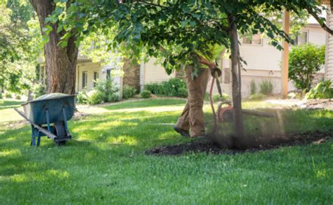 Root Care Services Root Enhancement In Minnesota Rainbow Treecare